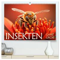 Insekten ganz gross (hochwertiger Premium Wandkalender 2025 DIN A2 quer), Kunstdruck in Hochglanz