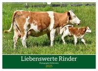 Liebenswerte Rinder (Wandkalender 2025 DIN A3 quer), CALVENDO Monatskalender