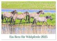 Ein Herz für Wildpferde (Tischkalender 2025 DIN A5 quer), CALVENDO Monatskalender