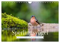 Sperlingsvögel - Die kleinen Sänger mit den großen Stimmen (Wandkalender 2025 DIN A4 quer), CALVENDO Monatskalender
