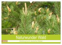 Naturwunder Wald (Wandkalender 2025 DIN A3 quer), CALVENDO Monatskalender