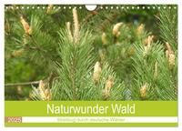 Naturwunder Wald (Wandkalender 2025 DIN A4 quer), CALVENDO Monatskalender