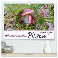 Mit interessanten Pilzen durchs Jahr (hochwertiger Premium Wandkalender 2025 DIN A2 quer), Kunstdruck in Hochglanz