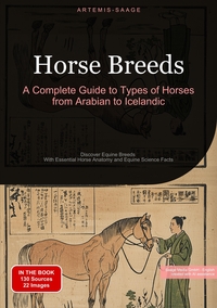 Horse Breeds: A Complete Guide to Types of Horses from Arabian to Icelandic