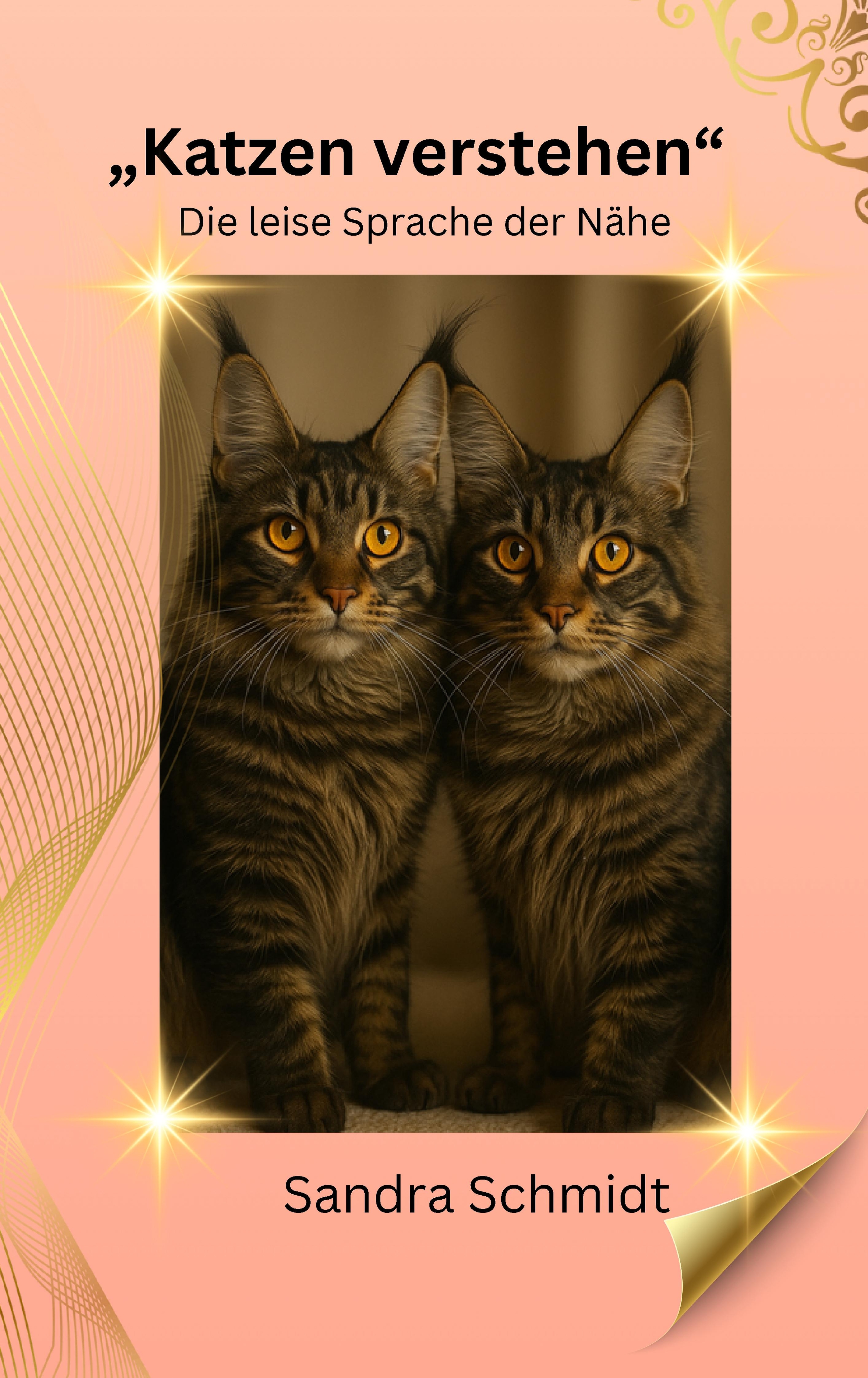 Cover-Abbildung für Katzen verstehen (Softcover/Paperback) (99999---978-3-384-72547-9)