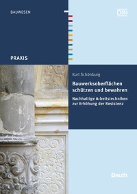 Bauwerksoberflächen schützen und bewahren - Buch mit E-Book
