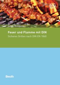 Feuer und Flamme mit DIN - Buch mit E-Book