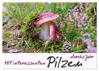 Mit interessanten Pilzen durchs Jahr (Wandkalender 2025 DIN A2 quer), CALVENDO Monatskalender