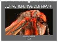 SCHMETTERLINGE DER NACHT (Wandkalender 2025 DIN A3 quer), CALVENDO Monatskalender