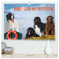 Hunde - Liebe auf vier Pfoten (hochwertiger Premium Wandkalender 2025 DIN A2 quer), Kunstdruck in Hochglanz