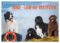 Hunde - Liebe auf vier Pfoten (Tischkalender 2025 DIN A5 quer), CALVENDO Monatskalender