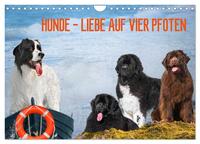 Hunde - Liebe auf vier Pfoten (Wandkalender 2025 DIN A4 quer), CALVENDO Monatskalender