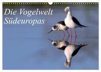Die Vogelwelt Südeuropas (Wandkalender 2025 DIN A3 quer), CALVENDO Monatskalender