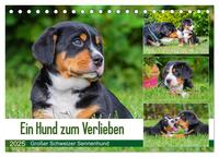 Ein Hund zum Verlieben - Großer Schweizer Sennenhund (Tischkalender 2025 DIN A5 quer), CALVENDO Monatskalender