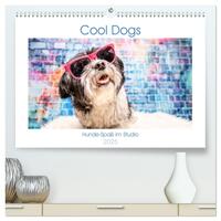Cool Dogs - Hunde-Spaß im Studio (hochwertiger Premium Wandkalender 2025 DIN A2 quer), Kunstdruck in Hochglanz