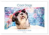 Cool Dogs - Hunde-Spaß im Studio (Wandkalender 2025 DIN A2 quer), CALVENDO Monatskalender