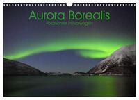 Aurora Borealis: Polarlichter in Norwegen (Wandkalender 2025 DIN A3 quer), CALVENDO Monatskalender