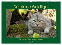 Der kleine Waldtiger (Wandkalender 2025 DIN A2 quer), CALVENDO Monatskalender