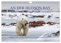 AN DER HUDSON BAY (Wandkalender 2025 DIN A4 quer), CALVENDO Monatskalender