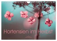 Hortensien im Herbst (Wandkalender 2025 DIN A4 quer), CALVENDO Monatskalender