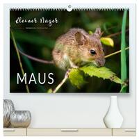 Kleiner Nager - Maus (hochwertiger Premium Wandkalender 2025 DIN A2 quer), Kunstdruck in Hochglanz