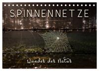 Spinnennetze - Wunder der Natur (Tischkalender 2025 DIN A5 quer), CALVENDO Monatskalender