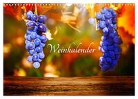 Weinkalender (Wandkalender 2025 DIN A3 quer), CALVENDO Monatskalender