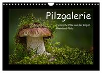Pilzgalerie - Heimische Pilze aus der Region Rheinland-Pfalz (Wandkalender 2025 DIN A4 quer), CALVENDO Monatskalender