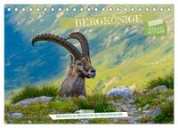 Bergkönige - Steinböcke im Blickpunkt der Naturforografie (Tischkalender 2025 DIN A5 quer), CALVENDO Monatskalender