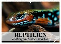 Reptilien Schlangen, Echsen und Co. (Wandkalender 2025 DIN A3 quer), CALVENDO Monatskalender
