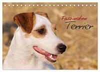 Faszination Terrier (Tischkalender 2025 DIN A5 quer), CALVENDO Monatskalender