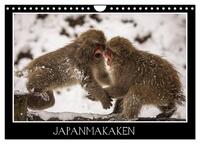 Japanmakaken (Wandkalender 2025 DIN A4 quer), CALVENDO Monatskalender