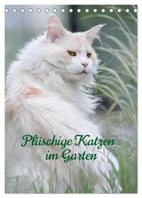 Plüschige Katzen im Garten (Tischkalender 2025 DIN A5 hoch), CALVENDO Monatskalender