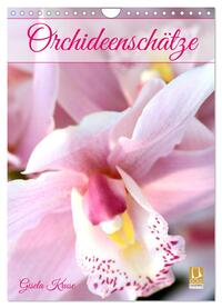 Orchideenschätze (Wandkalender 2025 DIN A4 hoch), CALVENDO Monatskalender