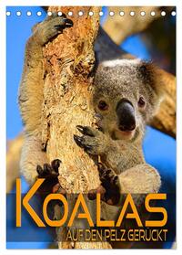 Koalas auf den Pelz gerückt (Tischkalender 2025 DIN A5 hoch), CALVENDO Monatskalender