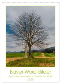 Bayer-Woid-Bilder (Wandkalender 2025 DIN A2 hoch), CALVENDO Monatskalender