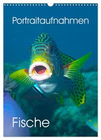 Portraitaufnahmen - Fische (Wandkalender 2025 DIN A3 hoch), CALVENDO Monatskalender