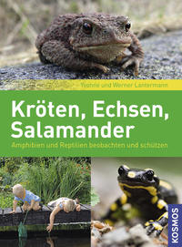 Kröten, Echsen, Salamander