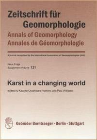Karst in a changing world