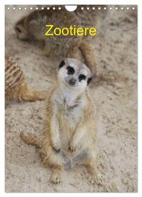 Zootiere (Wandkalender 2025 DIN A4 hoch), CALVENDO Monatskalender