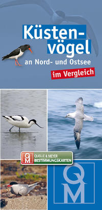 Küstenvögel an Nord- und Ostsee im Vergleich