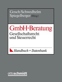 GmbH-Beratung