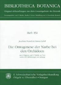 Die Ontogenese der Narbe bei den Orchideen