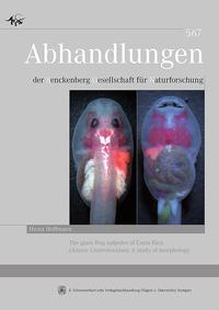 The glass frog tadpoles of Costa Rica (Anura: Centrolenidae): A study of morphology