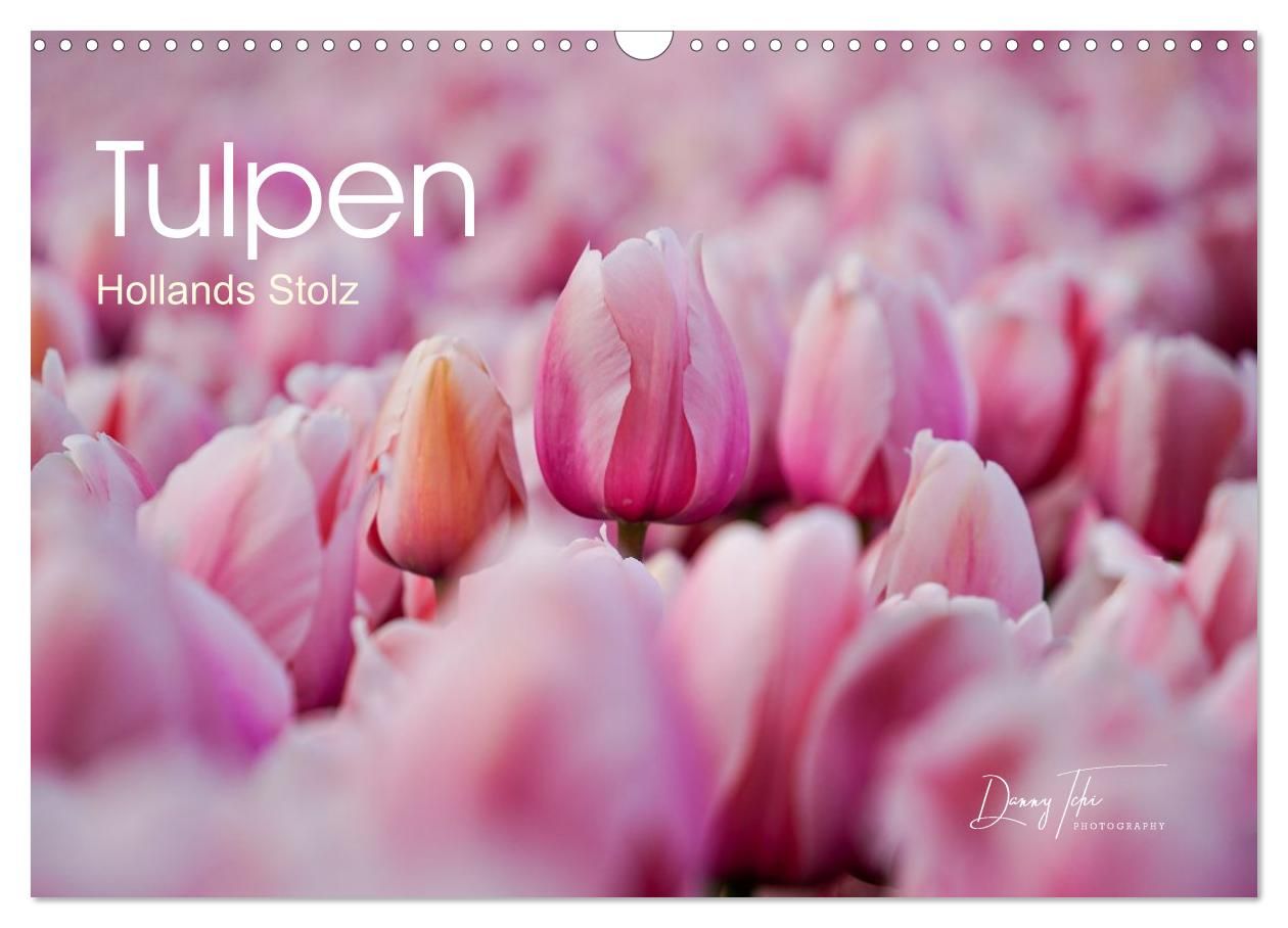 Cover-Abbildung für Tulpen - Hollands Stolz (Wandkalender 2026 DIN A3 quer), CALVENDO Monatskalender (99999---978-3-516-68831-3)