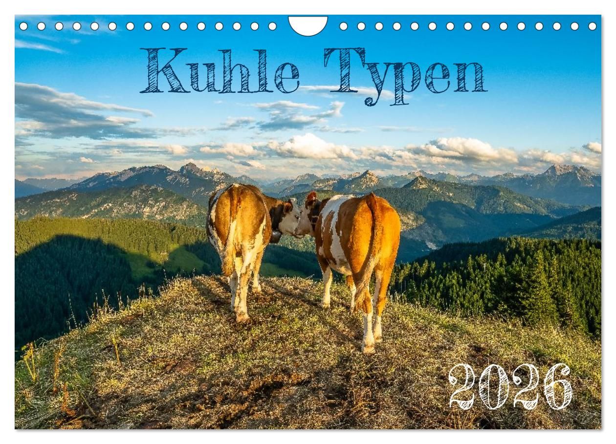 Cover-Abbildung für Kuhle Typen (Wandkalender 2026 DIN A4 quer), CALVENDO Monatskalender (99999---978-3-516-69690-5)