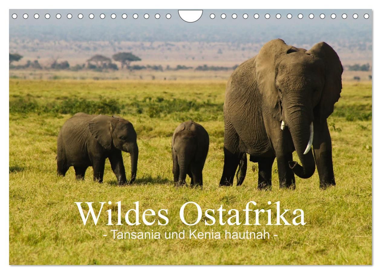 Cover-Abbildung für Wildes Ostafrika - Tansania und Kenia hautnah (Wandkalender 2026 DIN A4 quer), CALVENDO Monatskalender (99999---978-3-516-69891-6)