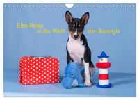 Cover-Abbildung für Eine Reise in die Welt der Basenjis (Wandkalender 2026 DIN A4 quer), CALVENDO Monatskalender (99999---978-3-516-71174-5)