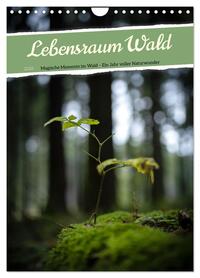 Cover-Abbildung für Lebensraum Wald (Wandkalender 2026 DIN A4 hoch), CALVENDO Monatskalender (99999---978-3-516-71649-8)