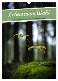 Cover-Abbildung für Lebensraum Wald (Wandkalender 2026 DIN A3 hoch), CALVENDO Monatskalender (99999---978-3-516-71659-7)
